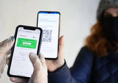Минтранс изменил позицию по проверке QR-кодов для перелетов - ya62.ru - Минтранс