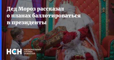 Дед Мороз - Дед Мороз рассказал о планах баллотироваться в президенты - nsn.fm - Москва - Московская обл.