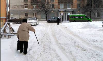 В Петрозаводске проверили качество уборки дворов - gubdaily.ru - Петрозаводск