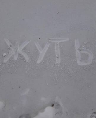 В российском городе выпал черный снег - znak.com - Россия - Киселевск - Кемеровская обл.
