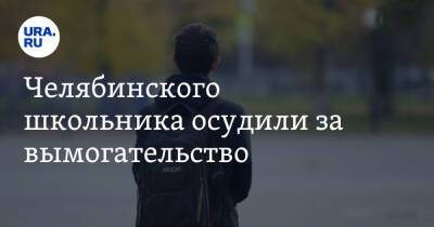 Челябинского школьника осудили за вымогательство - ura.news - Челябинская обл. - Златоуст