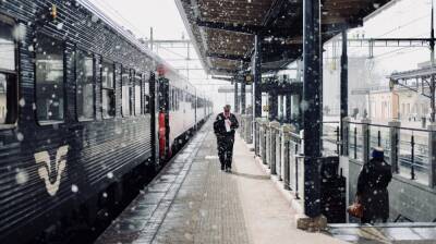 В новогодние каникулы между Петербургом и Воронежем РЖД увеличат число рейсов - vestivrn.ru - Москва - Санкт-Петербург - Воронеж