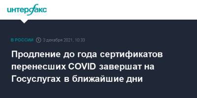 Михаил Мурашко - Продление до года сертификатов перенесших COVID завершат на Госуслугах в ближайшие дни - interfax.ru - Москва - Россия
