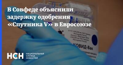 Андрей Климов - Кирилл Дмитриев - В Совфеде объяснили задержку одобрения «Спутника V» в Евросоюзе - nsn.fm - Россия