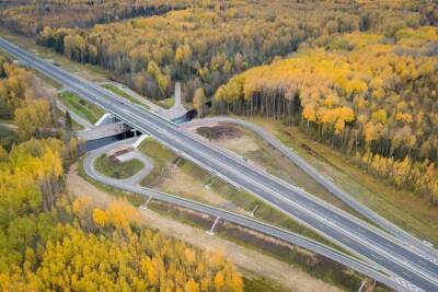 Трасса М-11 «Нева» стала популярной среди петербургских дачников - spb.mk.ru - Санкт-Петербург