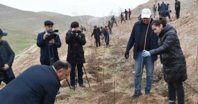 На республиканской свалке токсичных химикатов посадили 3 тысячи саженцев - dialog.tj - Душанбе - Таджикистан - Хатлонской обл.
