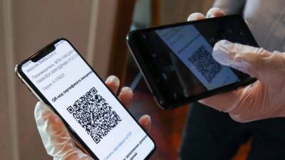 Минтранс не будет требовать QR-коды при покупке авиабилетов - svoboda.org - Россия