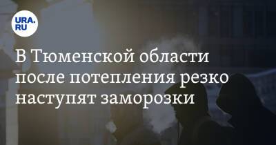 В Тюменской области после потепления резко наступят заморозки - ura.news - Тюменская обл.