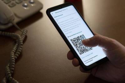 Предъявите QR-код: Минтранс смягчил правила проверки прививок у пассажиров - infox.ru