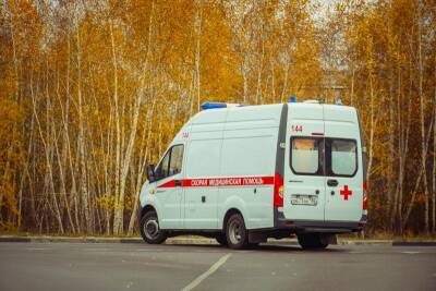 Два водителя пострадали в массовой аварии на встречке под Воронежем - gorcom36.ru - Россия - Воронеж - Воронежская обл.