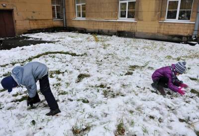 Петербуржцам дали контакты для жалоб на плохую уборку снега во дворах - neva.today - Санкт-Петербург