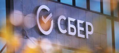 Сбербанк за год нарастил кредитный портфель МСП почти на 40% - stolicaonego.ru