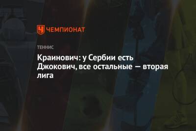 Крайинович: у Сербии есть Джокович, все остальные — вторая лига - championat.com - Сербия