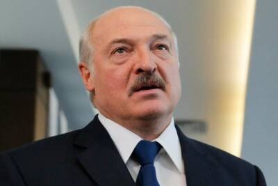 Александр Лукашенко - Лукашенко потребовал от правительства оперативно выработать антисанкции - mk.ru - Белоруссия