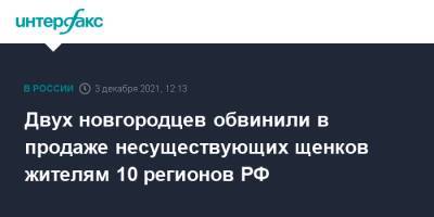 Двух новгородцев обвинили в продаже несуществующих щенков жителям 10 регионов РФ - interfax.ru - Москва - Россия - Ленинградская обл. - Московская обл. - респ. Коми - Курская обл. - Тверская обл. - окр. Янао - Волгоградская обл. - Самарская обл. - Новгородская обл. - Великий Новгород - Тульская обл.