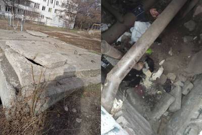 Щенки стали заложниками бетонных плит в Днепре: брошены силы на спасение, фото - dnepr.politeka.net - Украина