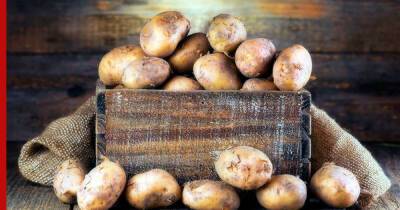 Храним картошку правильно: как уберечь урожай от гнили и мороза - profile.ru