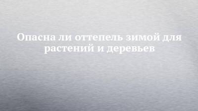 Опасна ли оттепель зимой для растений и деревьев - chelny-izvest.ru