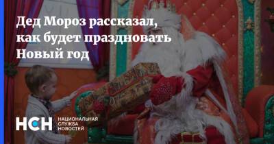 Дед Мороз - Дед Мороз рассказал, как будет праздновать Новый год - nsn.fm - Московская обл.