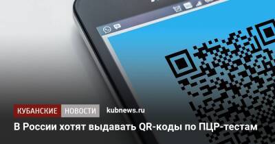 В России хотят выдавать QR-коды по ПЦР-тестам - kubnews.ru - Россия