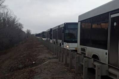 Михаил Евраев - Губернатор Ярославской области Евраев принял новые автобусы для регионального центра - interfax-russia.ru - Санкт-Петербург - Сочи - Московская обл. - Ярославская обл. - Волгоградская обл. - Ярославль - Самарская обл.