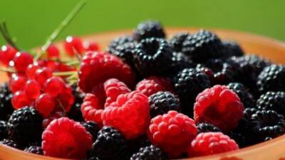 В этом году Украина увеличит экспорт фруктов, ягод и орехов на 13% — УКАБ - hubs.ua - Украина