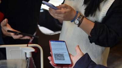 В России рассмотрят возможность выдачи QR-кодов по ПЦР-тестам - iz.ru - Россия - Израиль
