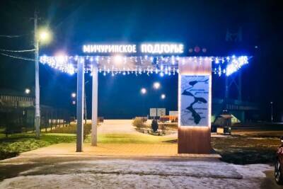 В Мичуринске впервые установят 13-метровую ёлку на набережной - tambov.mk.ru - Мичуринск