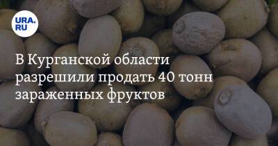 В Курганской области разрешили продать 40 тонн зараженных фруктов - ura.news - Челябинская обл. - Иран - Курганская обл.