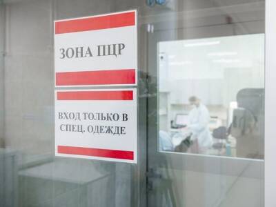 РБК: В России могут разрешить получать QR-коды по отрицательным ПЦР-тестам - rosbalt.ru - Россия