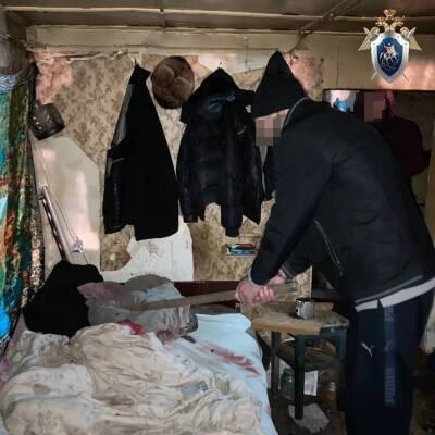 Житель Лукояновского района до смерти избил односельчанина кочергой - vgoroden.ru - Россия - Нижегородская обл. - Следственный Комитет