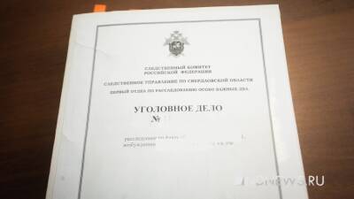Валерий Горелых - По факту смерти 5-летней девочки от удара током возбудили уголовное дело - newdaynews.ru - Россия - Свердловская обл.