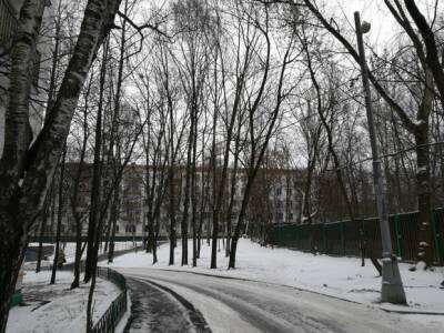 Москвичей предупредили о сильном ветре и гололедице в субботу - rosbalt.ru - Москва - Россия