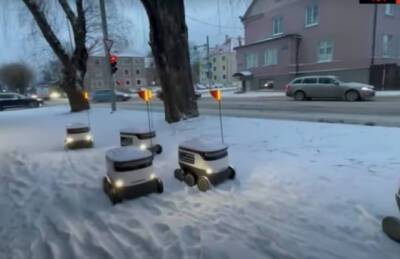 В Эстонии роботы-курьеры встали в пробку из-за снегопада - mediavektor.org - Эстония - Таллинн