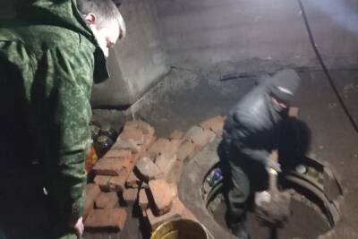 Тело пропавшей жительницы Марий Эл нашли в погребе под слоем бетона - mk.ru - Россия - респ. Марий Эл