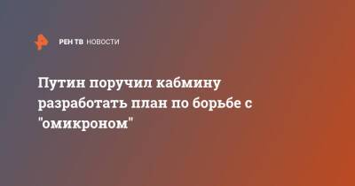 Владимир Путин - Путин поручил кабмину разработать план по борьбе с "омикроном" - ren.tv - Россия