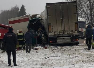 Возбуждено уголовное дело по факту смертельного ДТП в Смоленской области - rabochy-put.ru - Смоленск - Смоленская обл. - Брянск