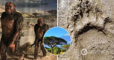 Ученые разгадали тайну следов, оставленных в Танзании 3,7 млн лет назад – фото - obozrevatel.com - Танзания