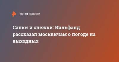 Роман Вильфанд - Санки и снежки: Вильфанд рассказал москвичам о погоде на выходных - ren.tv - Москва