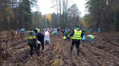 Глеб Никитин - Нижегородская область вошла в топ-5 регионов России по итогам акции «Сохраним лес» - russian.rt.com - Россия - Нижегородская обл.