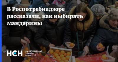 Надежда Раева - В Роспотребнадзоре рассказали, как выбирать мандарины - nsn.fm - Московская обл.