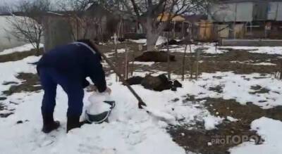 Жители деревни в Моргаушском районе топят снег из-за нехватки воды - pg21.ru - район Моргаушский