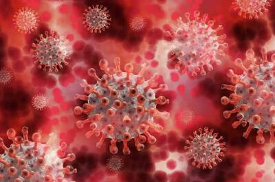 Мария Ван-Керкхове - Омикрон-штамм коронавируса обнаружили в 38 странах, сообщили в ВОЗ - pnp.ru - Юар - Женева