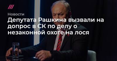 Александр Бастрыкин - Депутата Рашкина вызвали на допрос в СК по делу о незаконной охоте на лося - tvrain.ru - Саратовская обл.