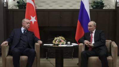 Владимир Путин - Тайип Эрдоган - В Кремле сообщили детали переговоров Путина и Эрдогана - russian.rt.com - Россия - Сирия - Украина - Сочи - Армения - Турция - Ливия - Азербайджан