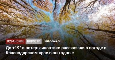 До +19° и ветер: синоптики рассказали о погоде в Краснодарском крае в выходные - kubnews.ru - Анапа - Краснодарский край - Геленджик