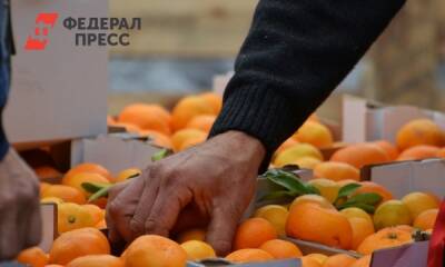 Как не ошибиться с выбором мандаринов: инструкция Роспотребнадзора - fedpress.ru - Москва - Россия - Омск