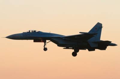 Российские истребители сопроводили самолёты-разведчики США в Чёрном море - aif.ru - Россия - США
