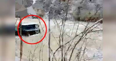 Водитель фуры погиб, помогая охотникам переправиться через реку - ren.tv - Геленджик - Геленджик