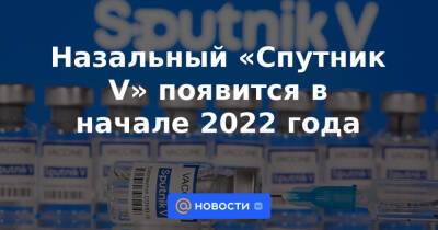 Владимир Путин - Александр Гинцбург - Назальный «Спутник V» появится в начале 2022 года - news.mail.ru - Россия